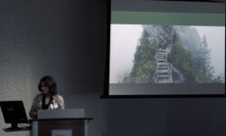 NASSPD Annual Conference 2017   Shelley Mcmain, Ph d  Developments In Dialectical Behaviour Therapy NASSPD Annual Conference 2017   Shelley Mcmain, Ph d  Developments In Dialectical Behaviour Therapy