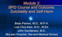 Module 2 - BPD Course and Outcome, Suicidality and Self-Harm Module 2 - BPD Course and Outcome, Suicidality and Self-Harm