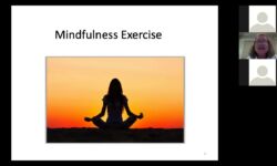 NEABPD Webinar Self Validation and Observing Limits with Susan Davidson NEABPD Webinar Self Validation and Observing Limits with Susan Davidson